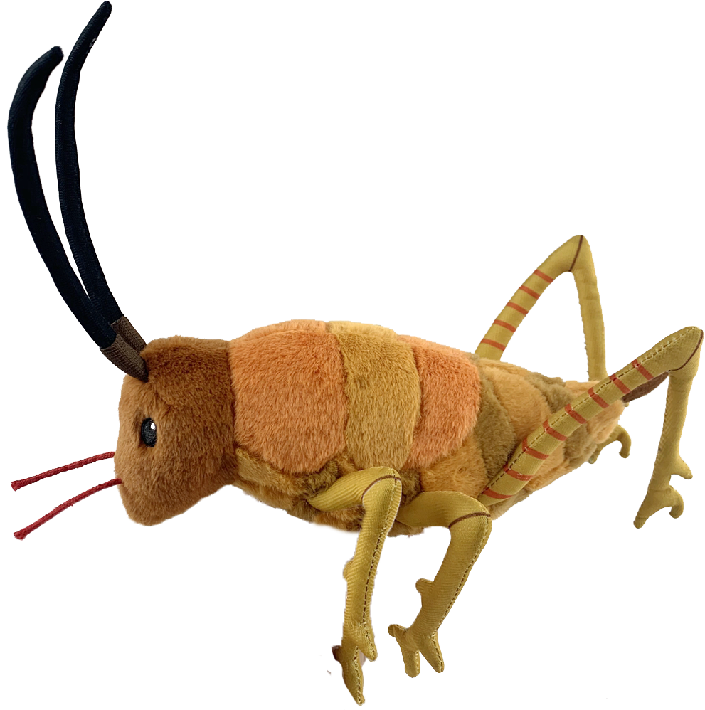 Wiremu the Weta - Soft Toy | Moana Road | Avisons NZ