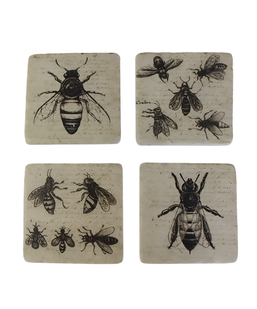 Bee Coasters | French Country | Avisons