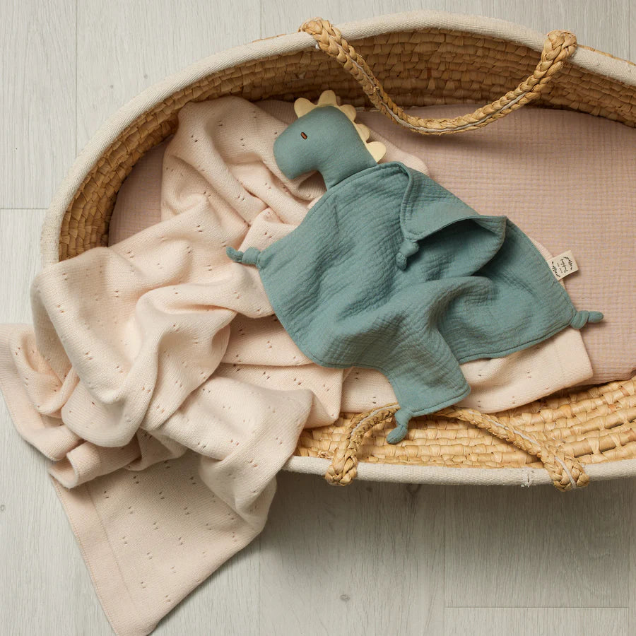 Organic Muslin Bunny Lovey - Dinosaur