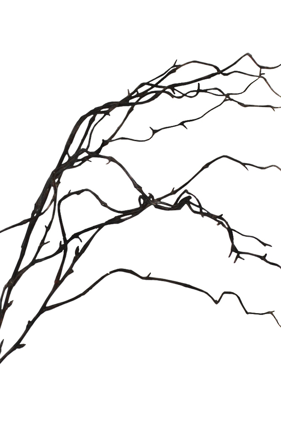 Faux Willow Brown Branch - 1m | Artificial Plants | Avisons