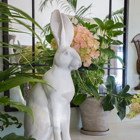 Harold the Hare | French Country | Avisons NZ