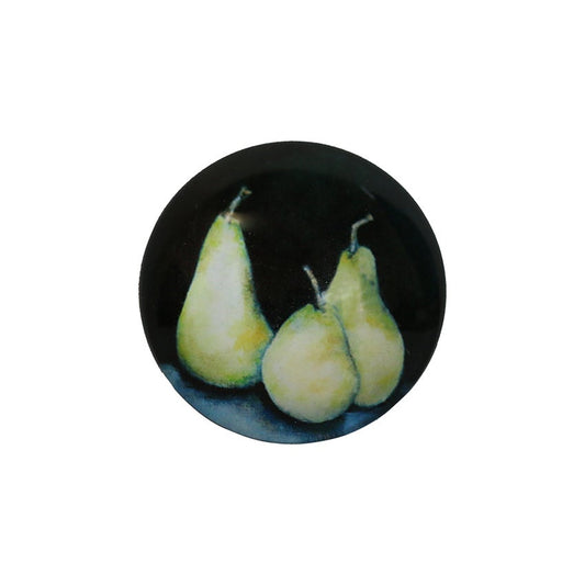 CC Interiors Midnight Pear Glass Magnets