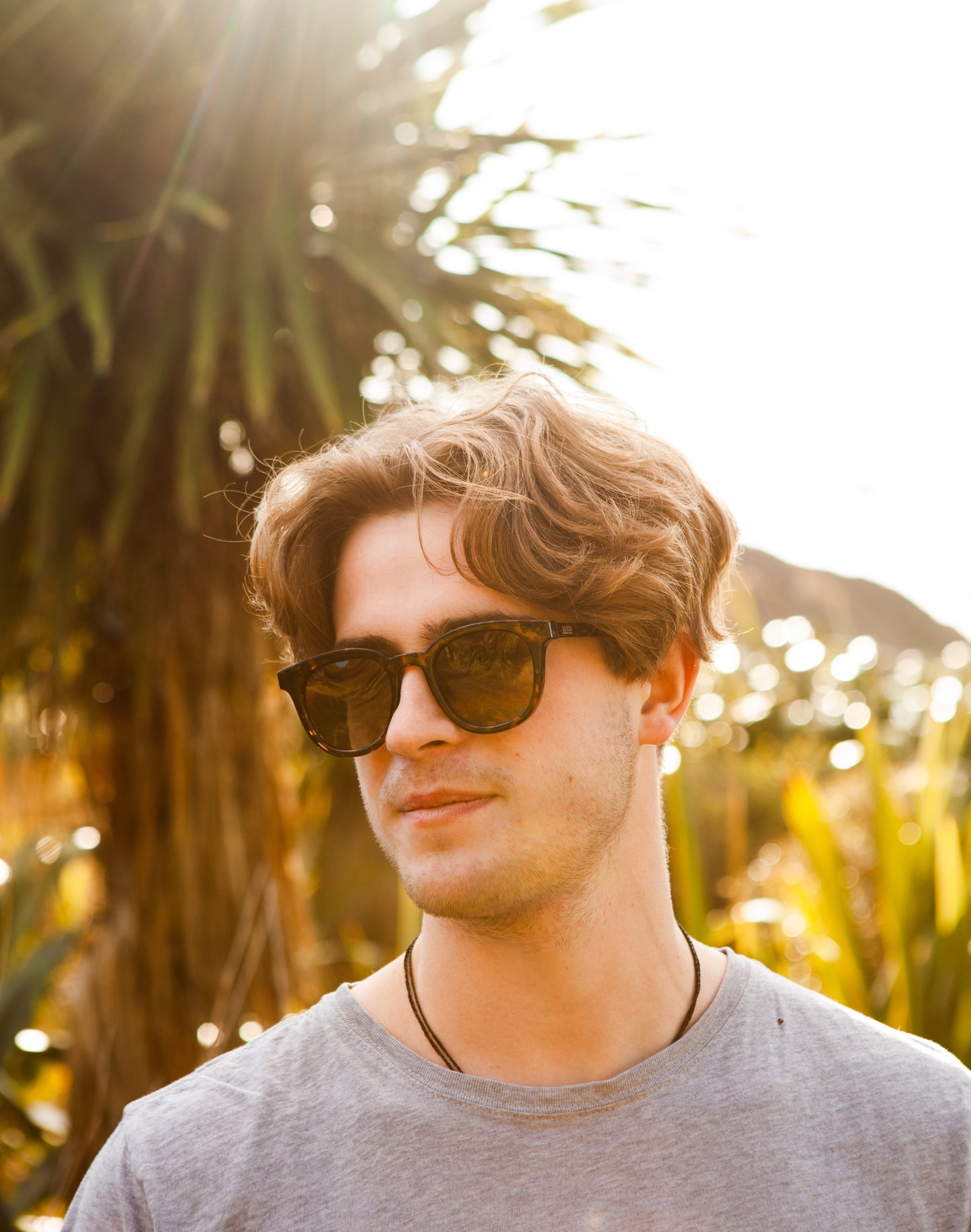 John Wayne Sunglasses - Tortoise Shell | Moana Road | Avisons