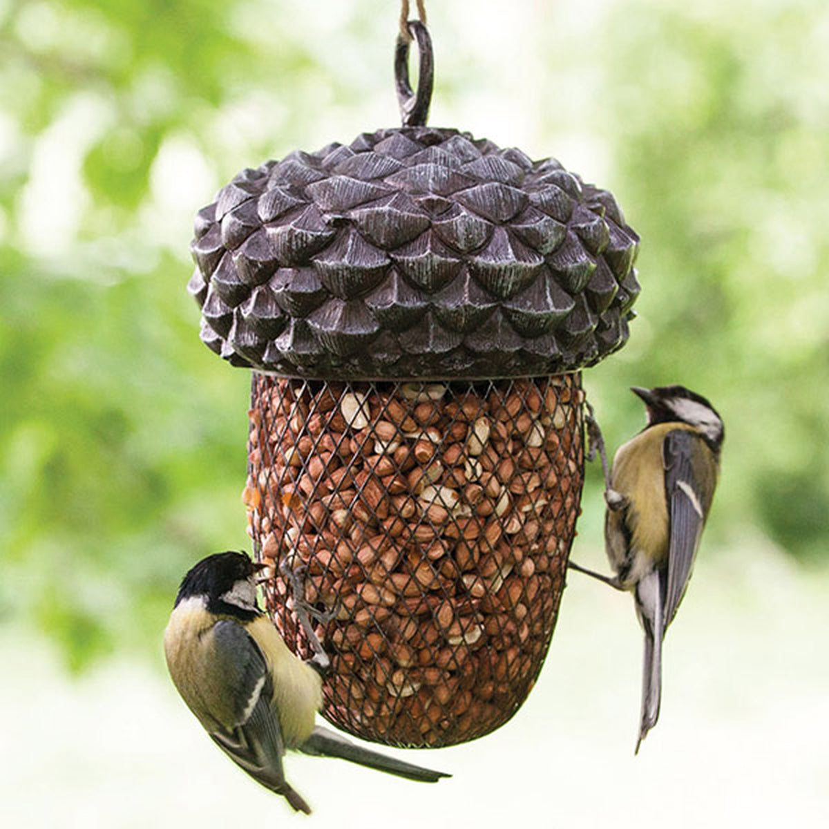 Acorn Bird Feeder | Avison's Home & Giftware NZ