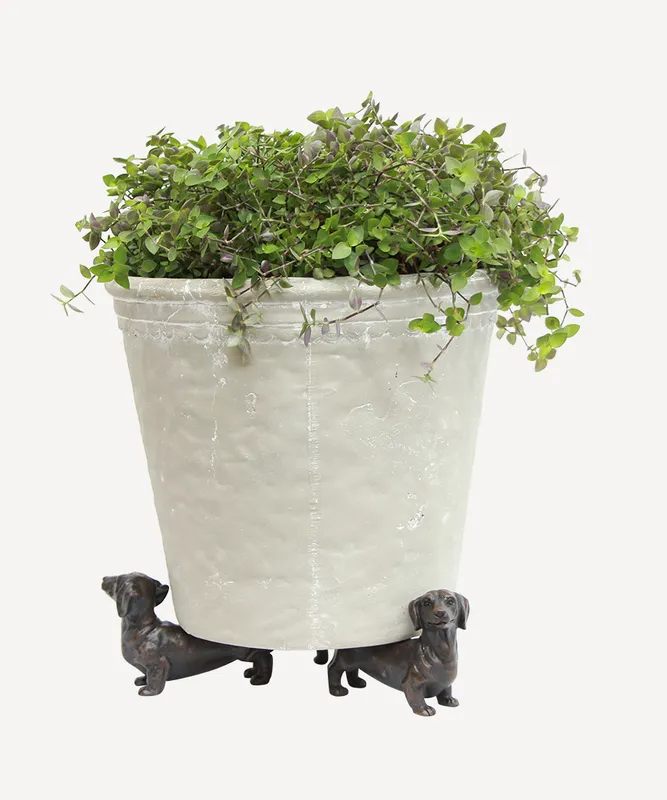 Dachshund Pot Stand Set | French Country | Avisons NZ