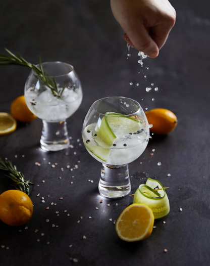 Gentlemen's Hardware - Gin Glasses Set of 2