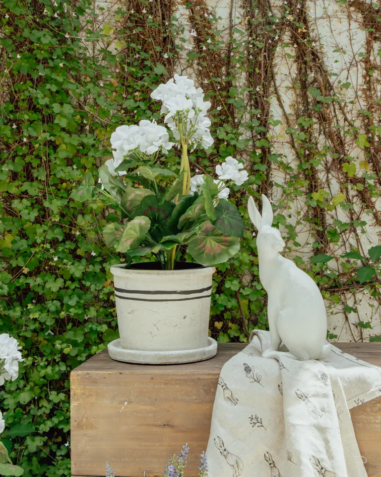 Harold the Hare Turning - Small White