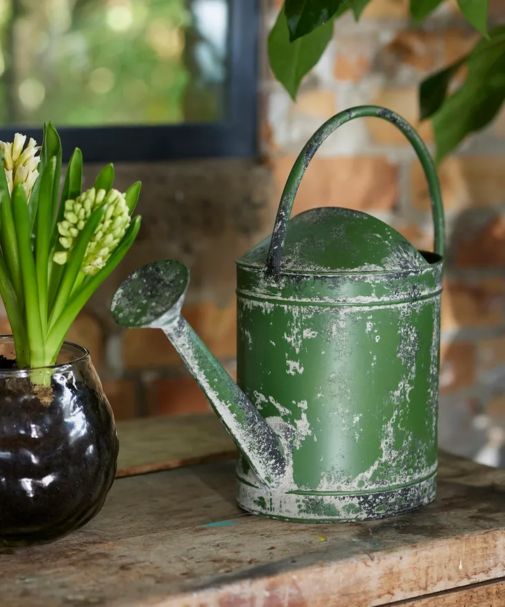 Vintage Metal Watering Can | French Country | Avisons