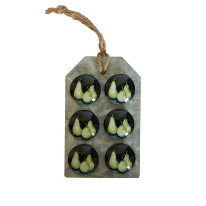CC Interiors Midnight Pear Glass Magnets