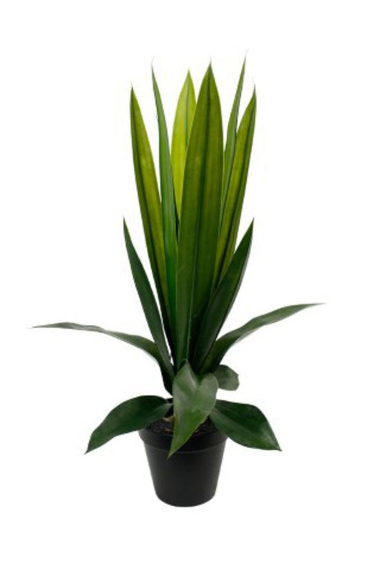 Faux Aloe Bush Plant | Avisons NZ