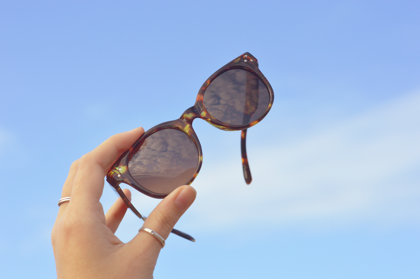 The Chandlers Sunglasses - Tort | Moana Road Sunglasses | Avisons