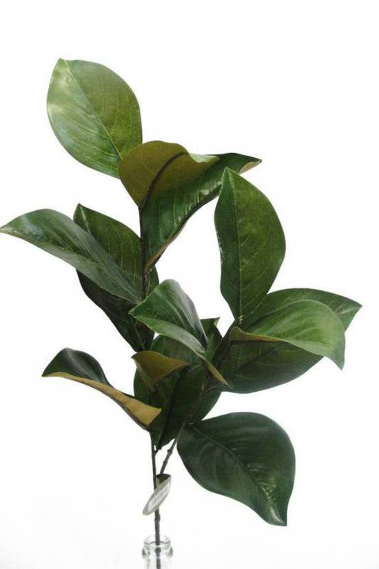 Faux Magnolia Leaf Spray | Avisons NZ
