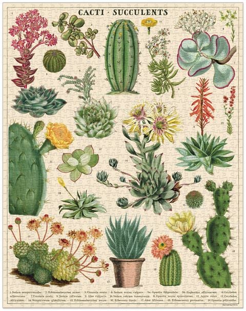 Cavallini Cacti & Succulents Puzzle