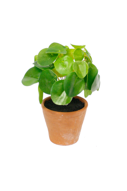 Faux Chinese Money Potted Plant