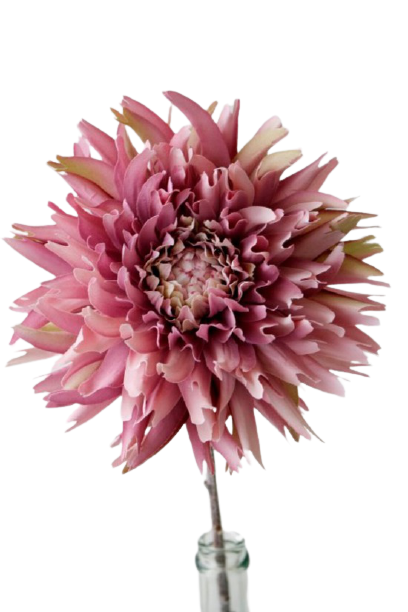 Mid Summer Dahlia Mauve | Artificial Flowers & Plants NZ  | Avisons