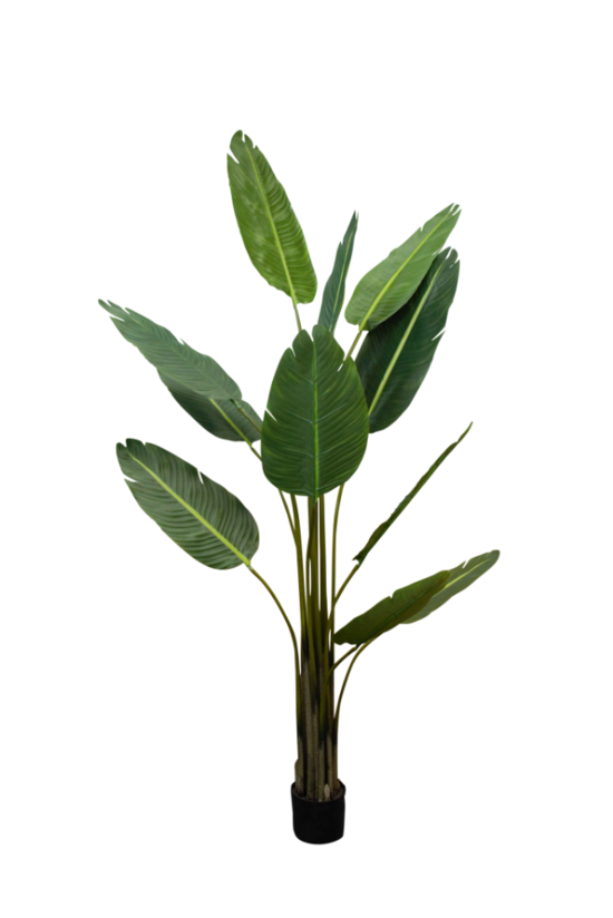 Faux Strelitzia Nicolai Plant | Avisons NZ