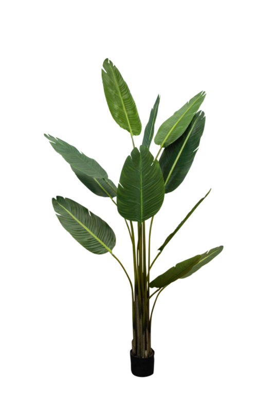 Faux Strelitzia Nicolai Plant | Avisons NZ