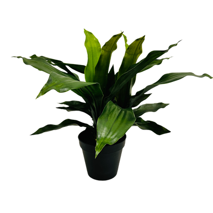 Faux Potted Dracaena